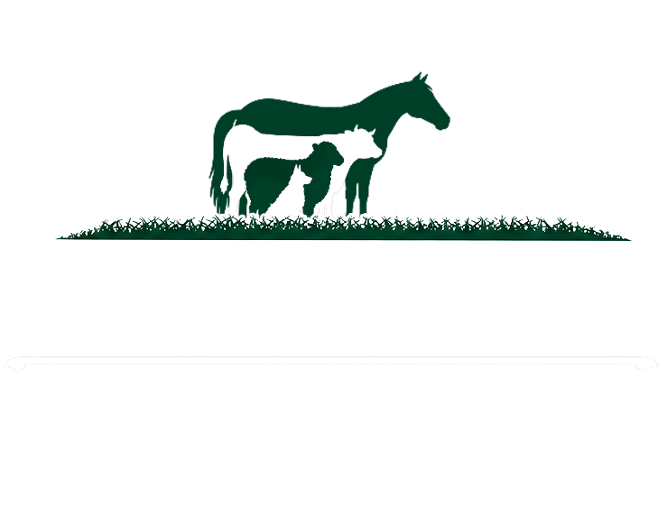 website logo