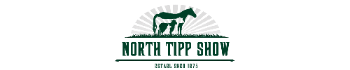 website logo